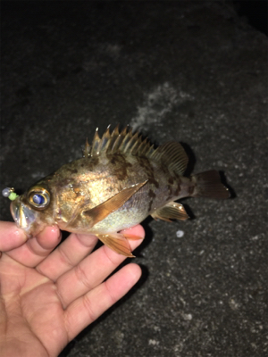 風にも負けず…