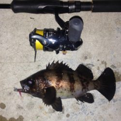 つ抜け逆ギレリベンジ