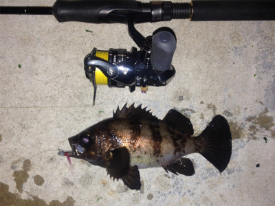 つ抜け逆ギレリベンジ