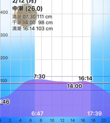シーバスデイゲーム