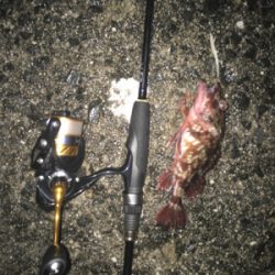 やっと風止みましたね♪