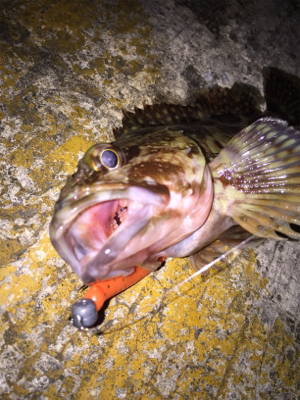 新たにポイント探し！