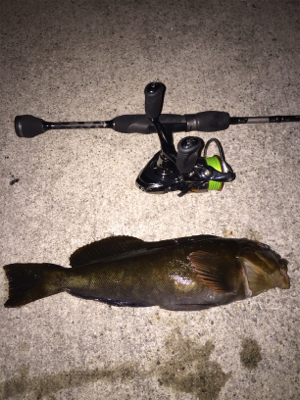 今シーズンベスト根魚！