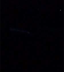 なぜか夜光虫いっぱい…