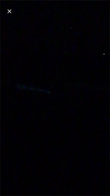 なぜか夜光虫いっぱい…