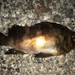 最先良いスタートが…