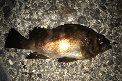 最先良いスタートが...