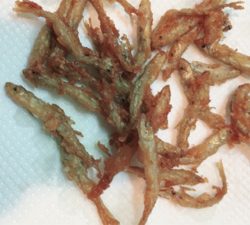 ワカサギフィーバー