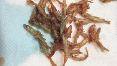 ワカサギフィーバー