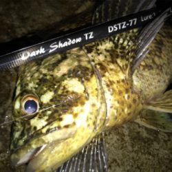 すごいゲスト！