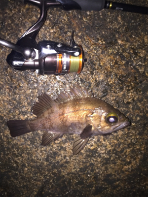 相変わらず渋いが‥。