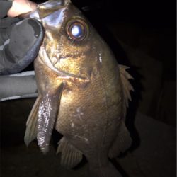 そろそろ上向き？