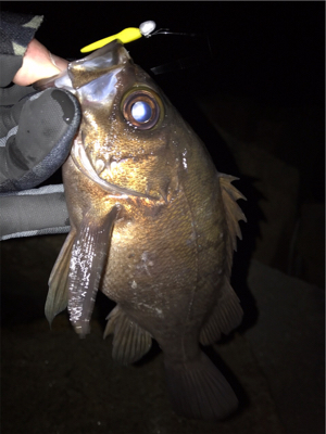 そろそろ上向き？