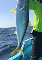 スロージギング