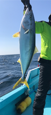 スロージギング