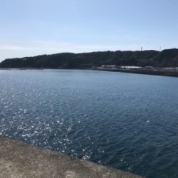 真冬の見えイカgetヽ(´▽｀)/