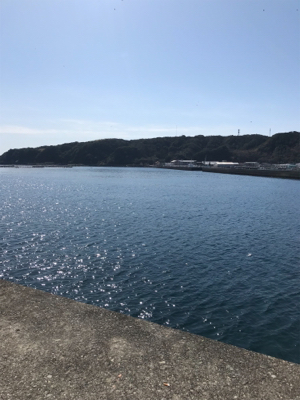 真冬の見えイカgetヽ(´▽｀)/