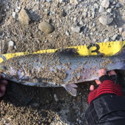 北田原にて鱒釣り堪能