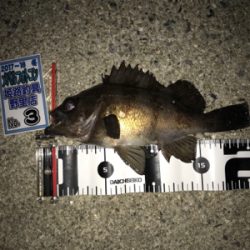 記録更新できました