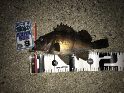 記録更新できました