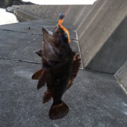 デイから夕まづめライトゲーム