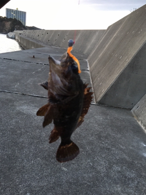 デイから夕まづめライトゲーム