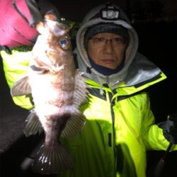 メバルナイトゲーム☆GUNNING-STYLE釣行