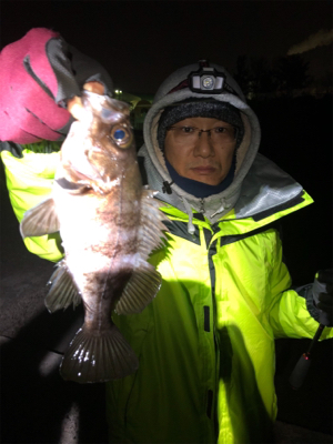 メバルナイトゲーム☆GUNNING-STYLE釣行