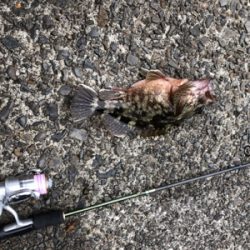 朝1時間弾丸チャレンジ