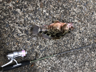 朝1時間弾丸チャレンジ