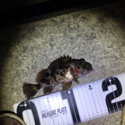 久しぶりの岸和田