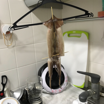 横須賀大津の小川丸さんから沖の瀬でイカ釣り