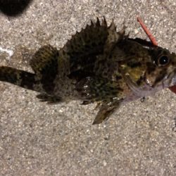 仕事帰りのメバリング