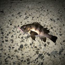 いつもの場所です。