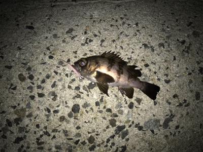 いつもの場所です。