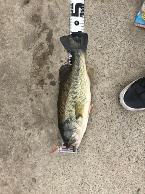 寒いけどシャローにて