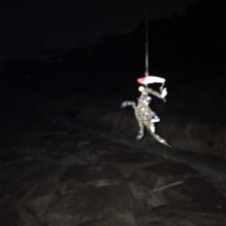 オルルド釣り具