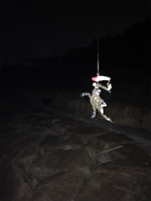 オルルド釣り具