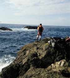 風、波、ある中で５匹