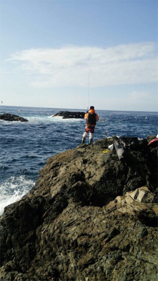 風、波、ある中で５匹