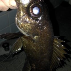 寒さに耐えられず