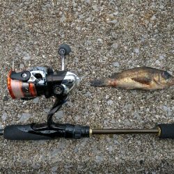 広島市内のメバリングは貧果続き