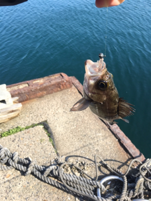 今年はおかしい