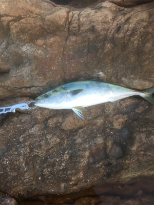 もうちょっとで