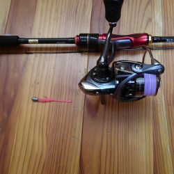 辛うじて１匹…