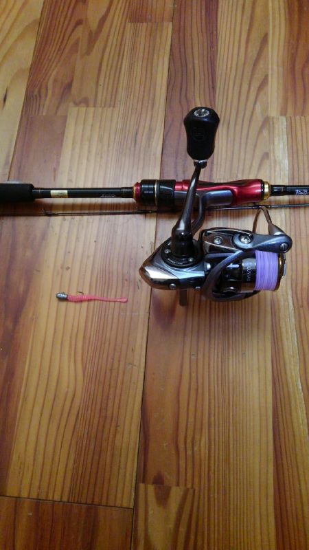 辛うじて１匹…