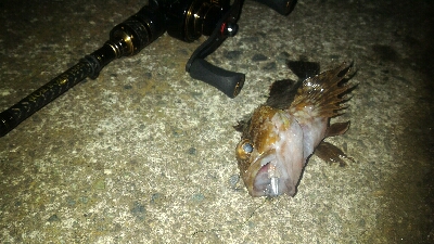 激渋メバリング