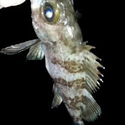 風も弱く寒くない