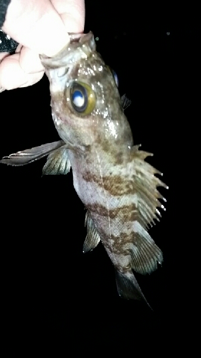 風も弱く寒くない