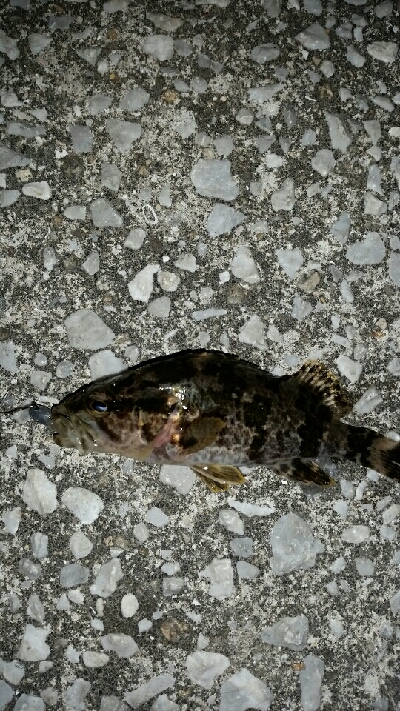 もうすぐ春かな？